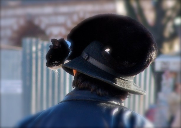 man with cat-Istanbul, Turkey