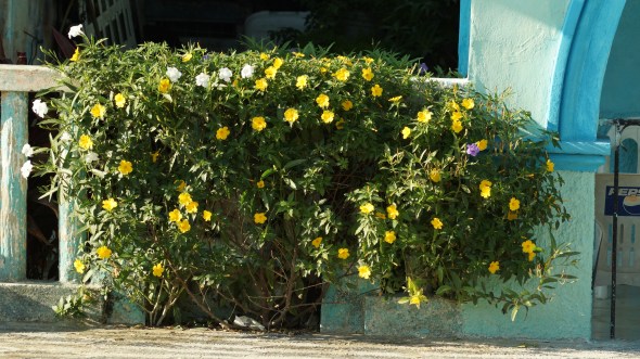 DSC01430