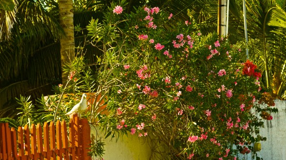 DSC01463