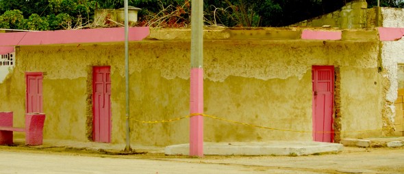 DSC01965 (1)