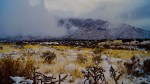 DSC05779