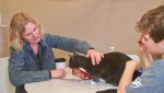 cat3